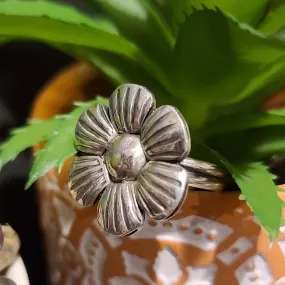 " Flora "