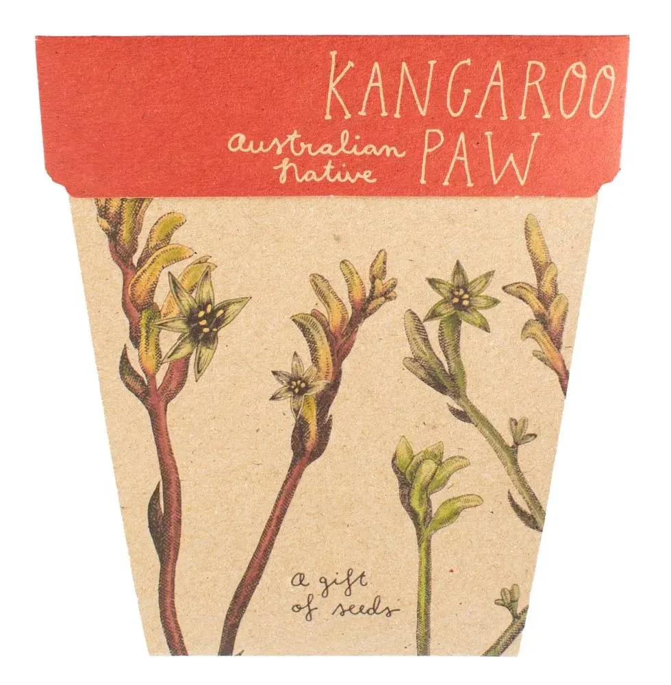 Sow n Sow Gift of Seeds - Kangaroo Paw